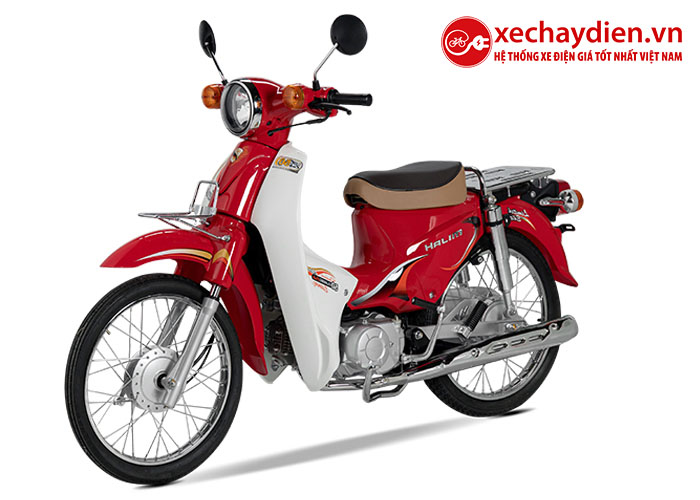 Xe Cub Halim 50cc 2020 màu đỏ mận