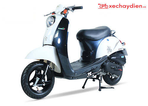 Xe ga 50cc Scoopy Màu Trắng Xanh