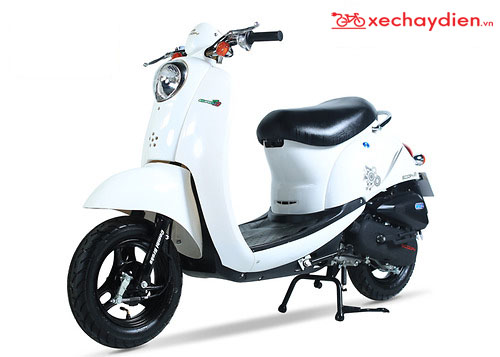 Xe ga 50cc Scoopy Màu Trắng Yếm Trắng