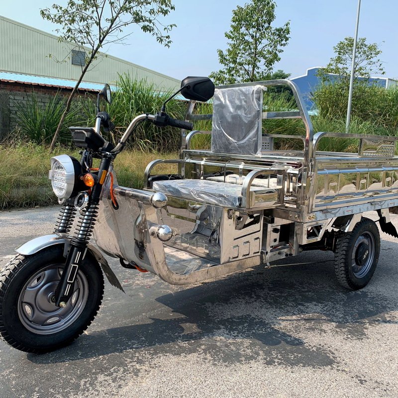 Xe 3 bánh SpeedX 1.6 INOX