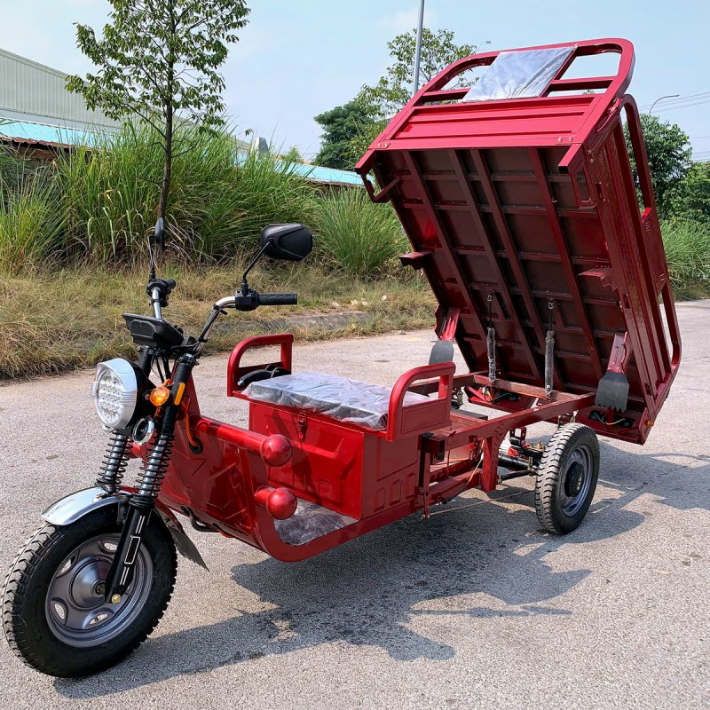 Xe 3 bánh SpeedX 1.8 Eagle