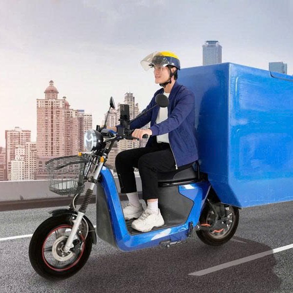 XE MÁY ĐIỆN SELEX CAMEL 1 