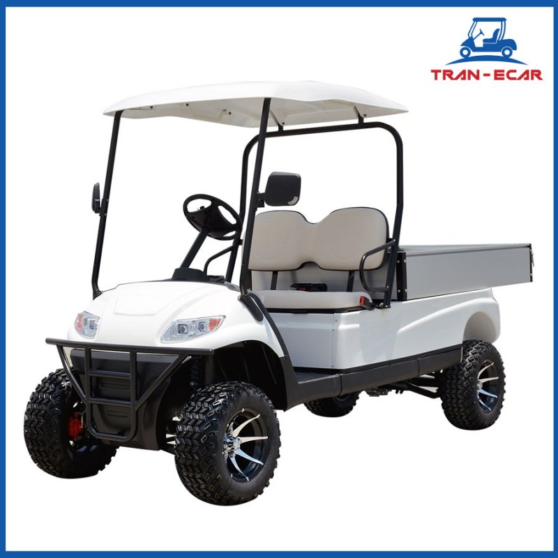 Xe điện chở hàng LVTONG LT-A617.H2G 