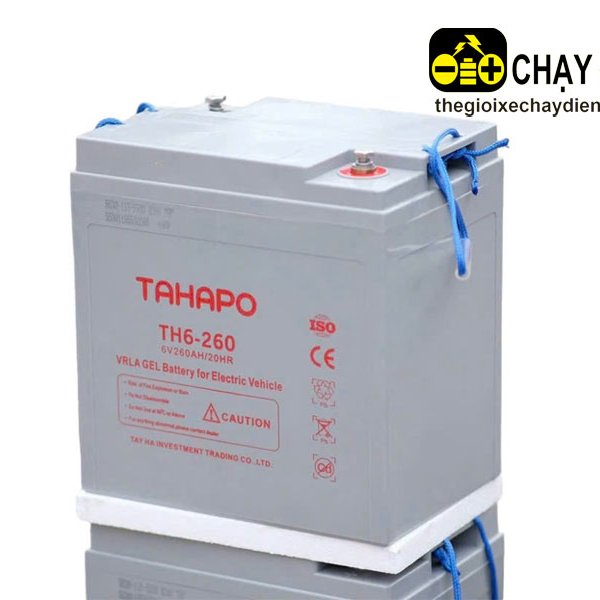 Ắc quy xe điện TAHAPO TH6-260 (6V-260Ah) 
