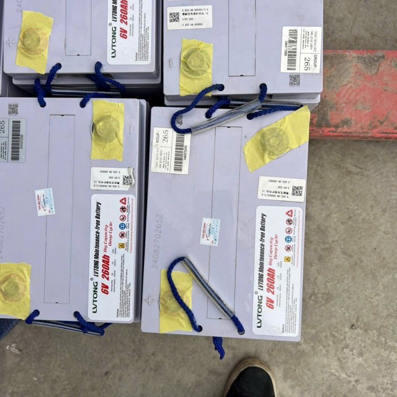 Bình ắc quy xe điện chở khách LVTONG 6V 260AH 