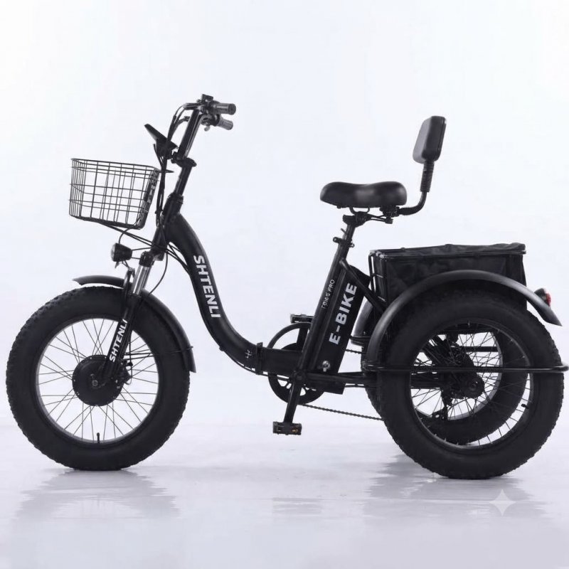 Xe đạp điện 3 bánh gấp gọn bánh béo 20 inch EV112 